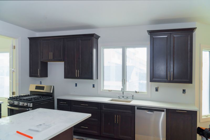 Built In Cabinetry Staining in Carmel, IN